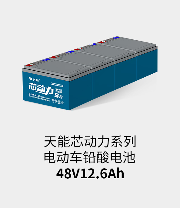 尊龙ag旗舰厅电池48v12ah