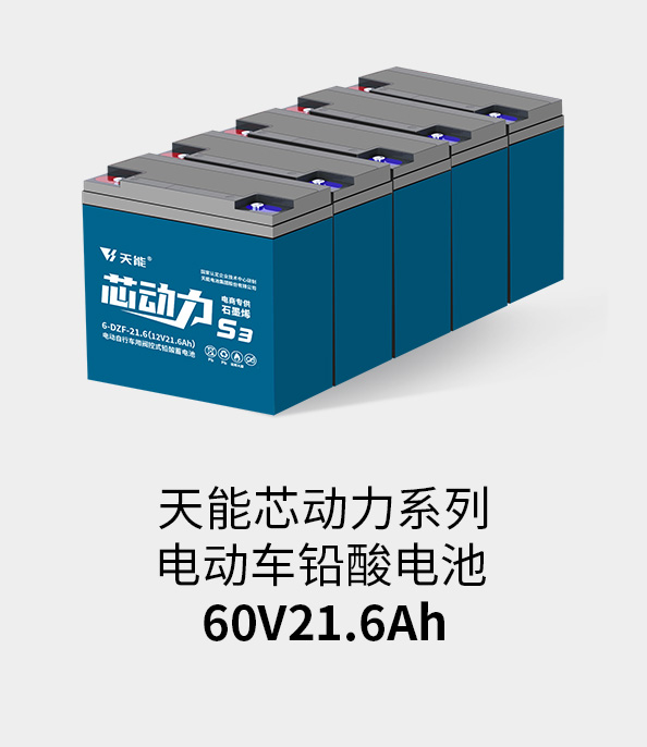 尊龙ag旗舰厅电池60v20ah