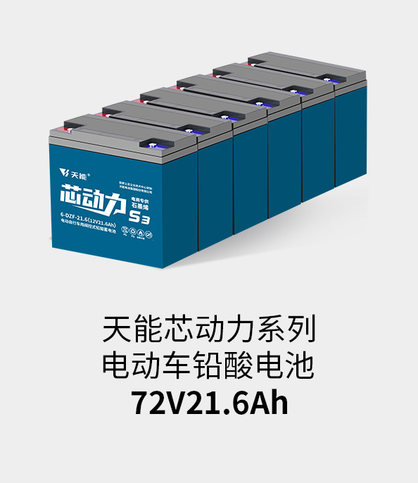 尊龙ag旗舰厅电池72v20ah