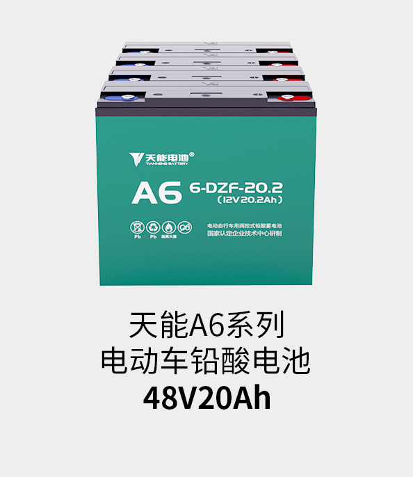 尊龙ag旗舰厅电池48v20ah