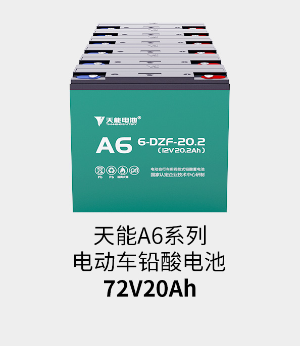 尊龙ag旗舰厅电池72v20ah