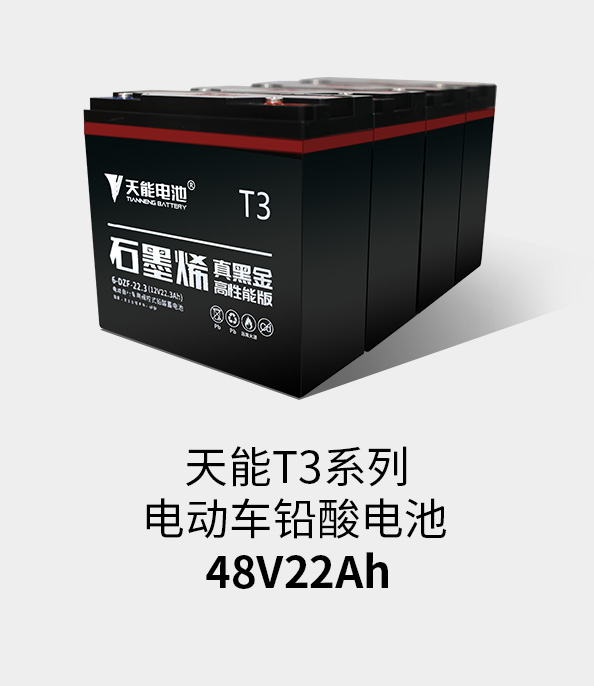 尊龙ag旗舰厅T3系列48v22ah