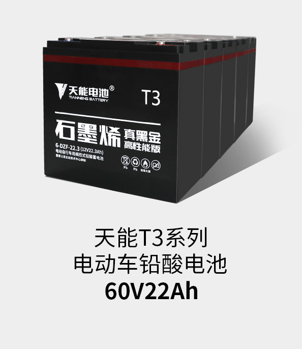 尊龙ag旗舰厅T3系列60v22ah